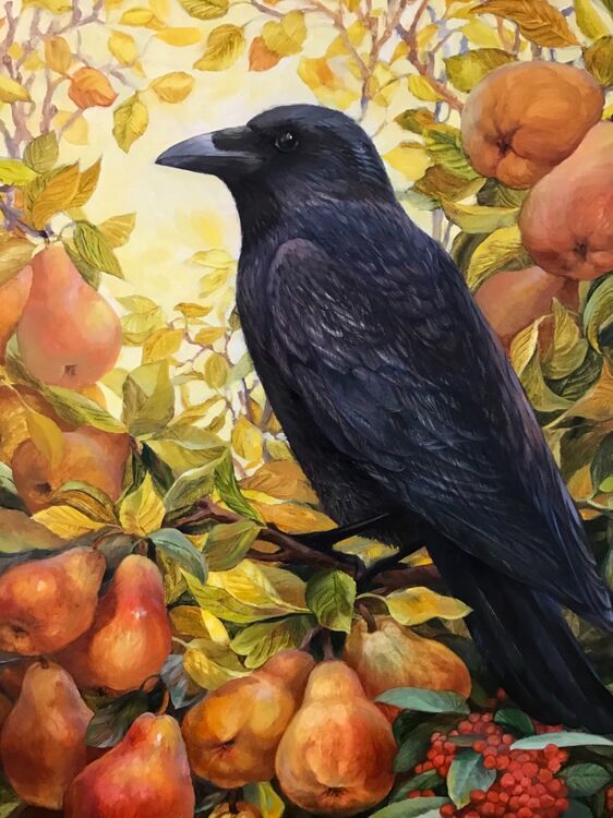 Crow with Pears