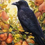 Crow with Pears print £40 Crow with Pears