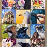 Make your own 4 coasters set, mix and match Birds and flowers printed on bright and glossy coasters