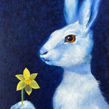 Magic Moon Hare SOLD