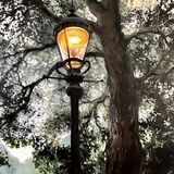 The Lantern print 40x30 £20