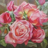 Robin in blooming pink roses