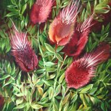 Thistle