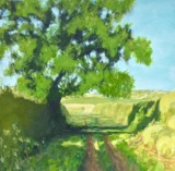 Close to Home - Paintings of Sherwood 