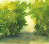 A Gap in the Trees - Watercolour