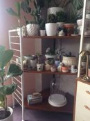 Corner unit London SW2