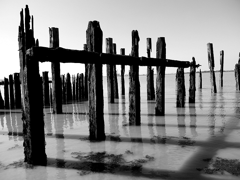 Isle of Grain's Grain