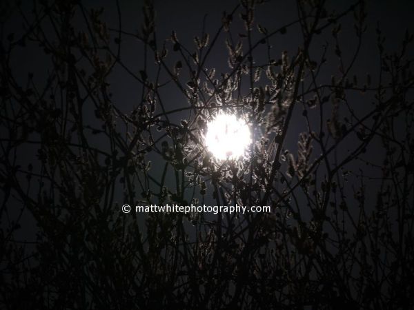 Harvey's Moon