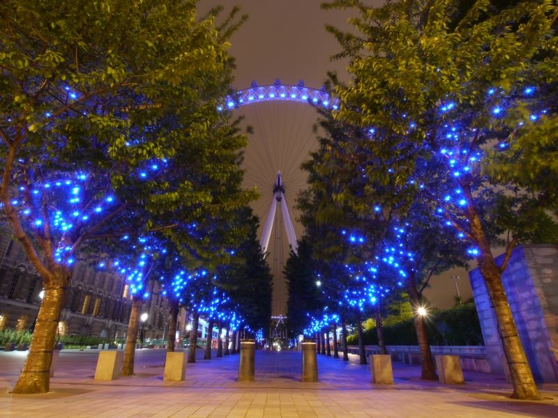 Emma's Electric Avenue