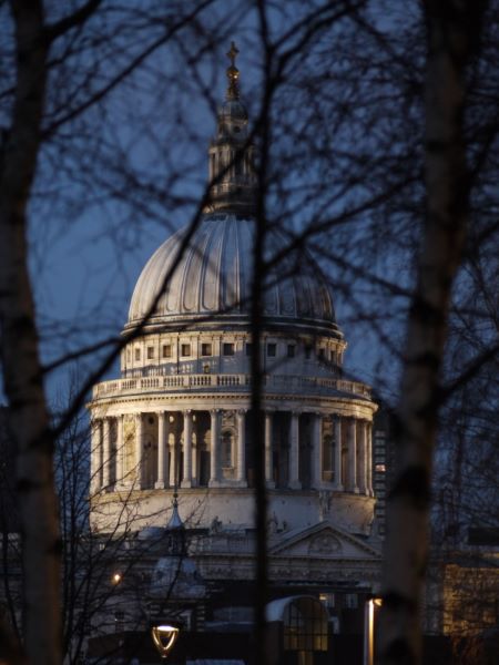 St Paul's & Silver Birches