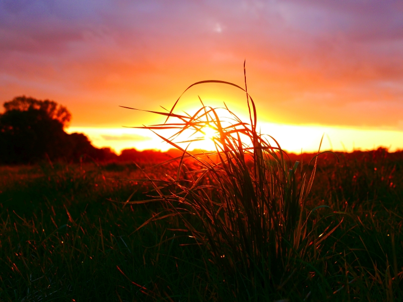 Katie's Sunset