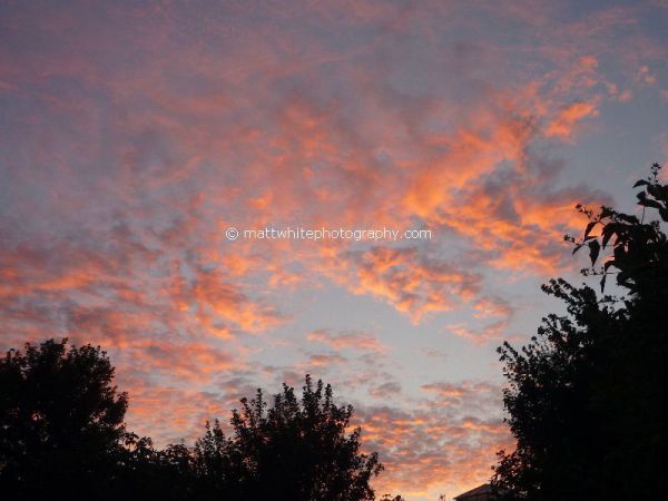 Shepherd's Delight