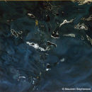 FLOATING I<br/>100 x 100cms