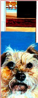 JAKE<br>Collection of<br>Mr. & Mrs. A. Armstrong