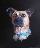 RUSTY<br>COMMISSION<br>SPAIN