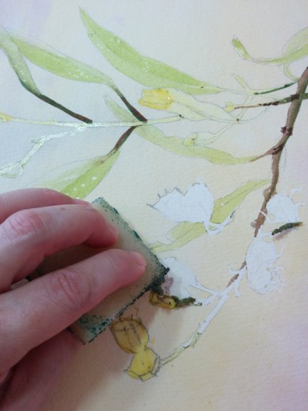 Marion removing masking fluid