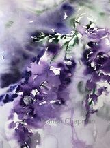 Wisteria, watercolour Wisteria