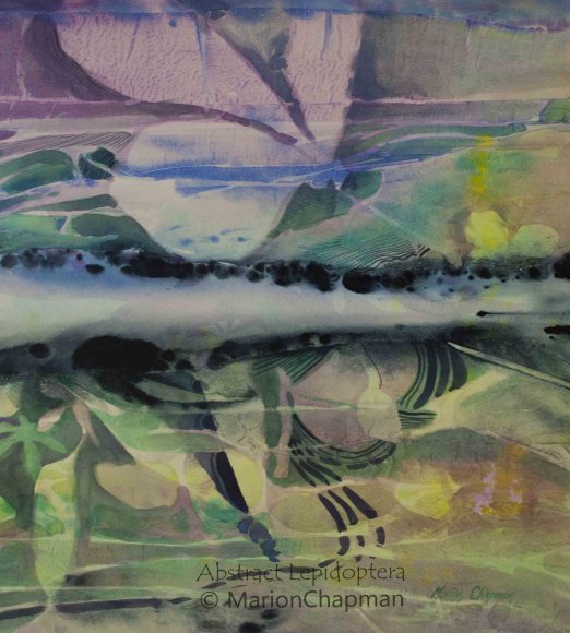 Abstract Lepidoptera