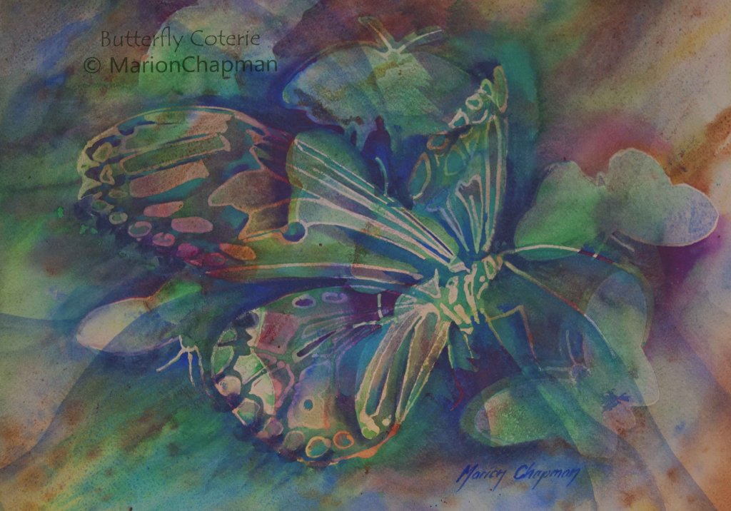 Butterfly Coterie