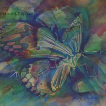 Butterfly Coterie