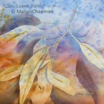 Gum Leaves Rustle (57 x 57 cm)