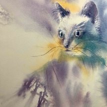 Esme Feline