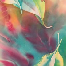 Gum Leaf Transparency