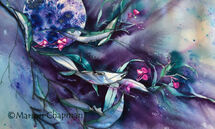 Gum Leaves & Moon MChapman