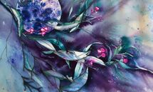 Gum Leaves & Moon MChapman