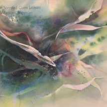 Lemon Scented Gum Leaves