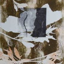 Angophora Trio, solar etching
