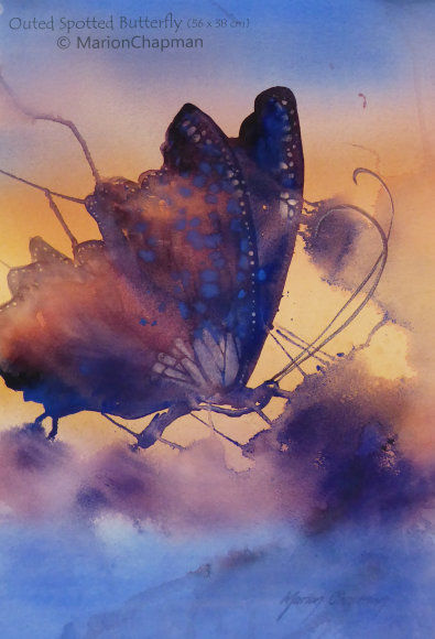 Outed Spotted Butterfly
