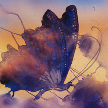 Outed Spotted Butterfly