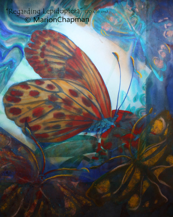 Regarding Lepidoptera