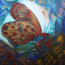 Regarding Lepidoptera