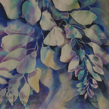 Winsome Wisteria