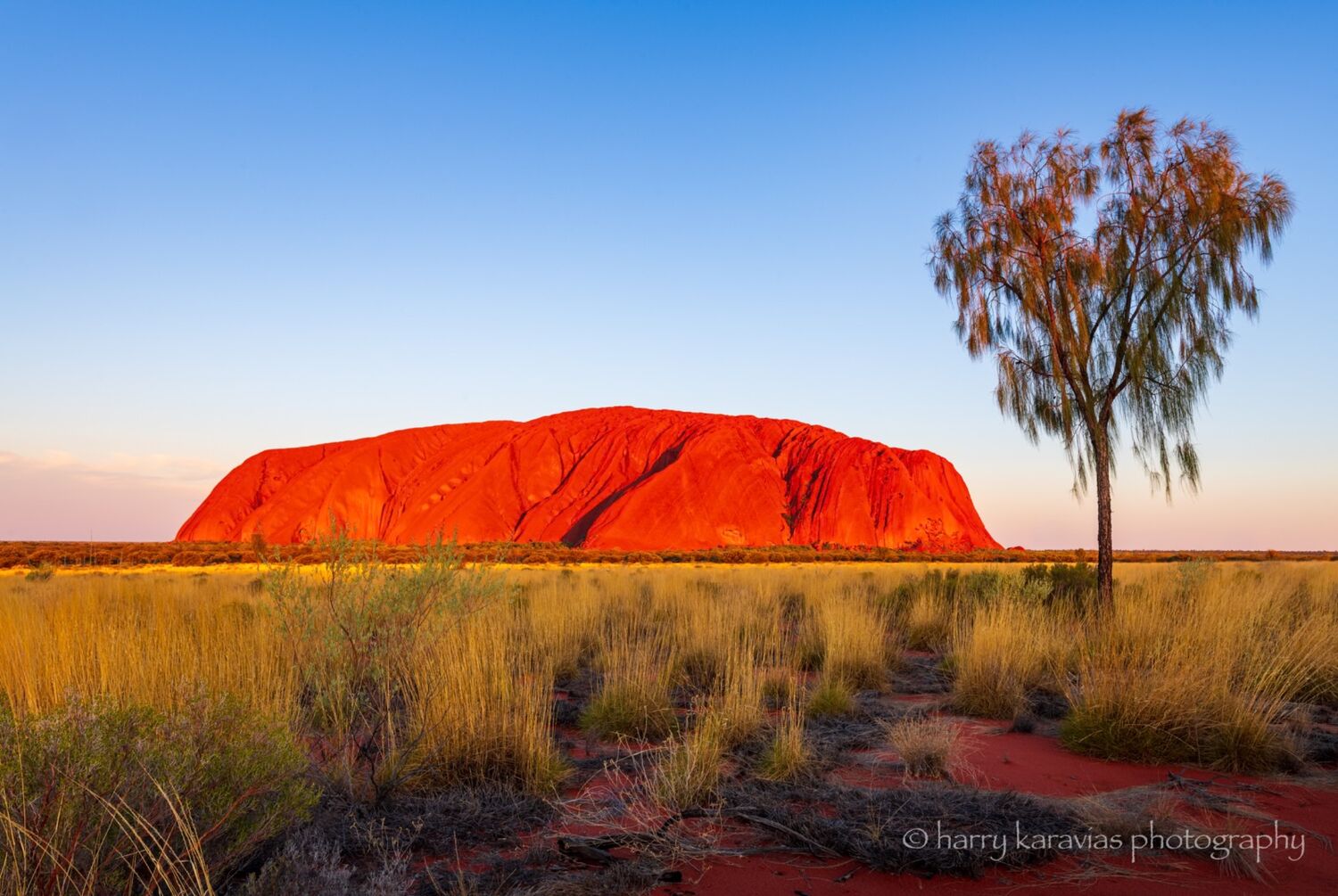 Majestic Uluru, NT