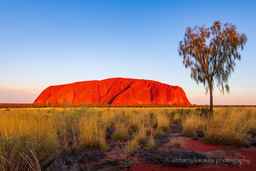 Majestic Uluru, NT