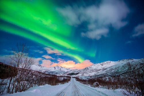 Dancing Lights, Lofoten Island, Norway