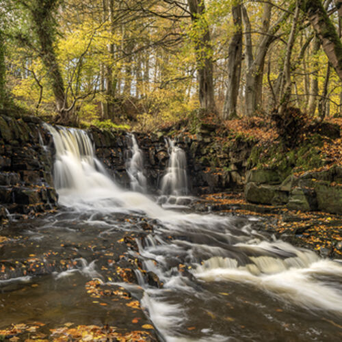 Autumn Waterfall