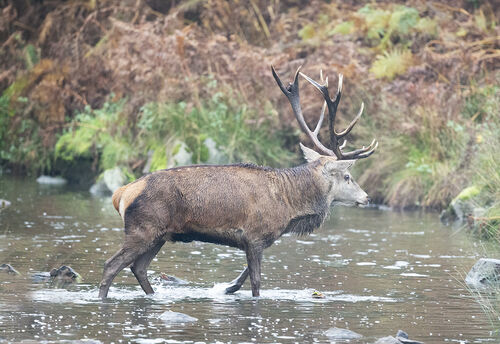 Crossing Water
