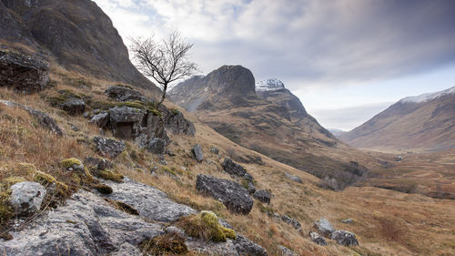 Winter in the Glen