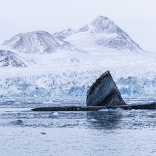 Black Iceburg