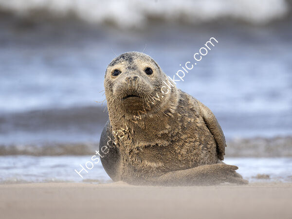 Covered in Sand