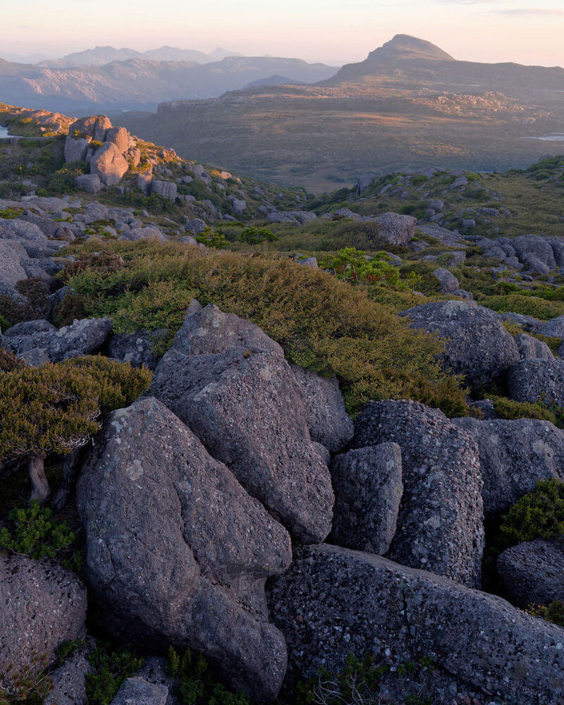Autumn, West Coast Range