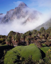 Clearing Mist, Mt Ann
