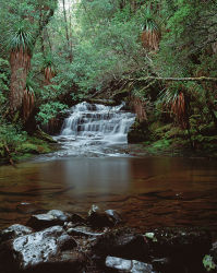 Cephissus Creek, Pine Valley