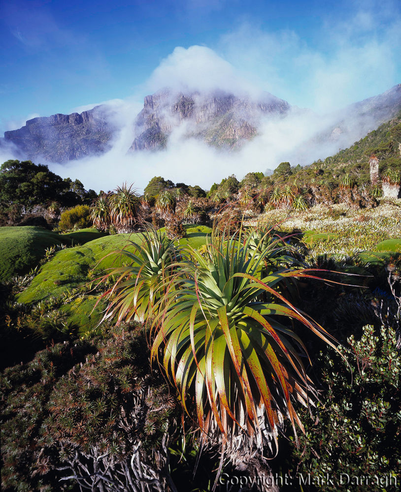 Gathering mist, Mt Anne