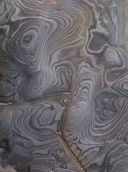 Coastal Topographies