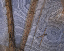 Shore platform detail